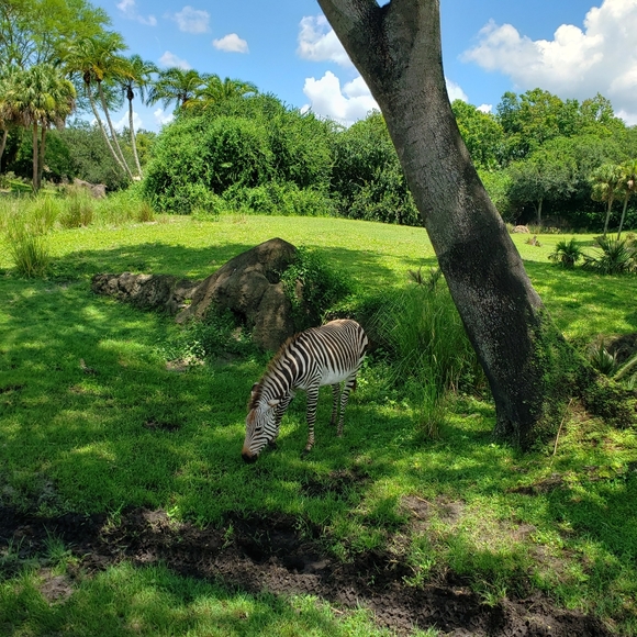 Meet your Posher, Sarah - Picture 4 of 5